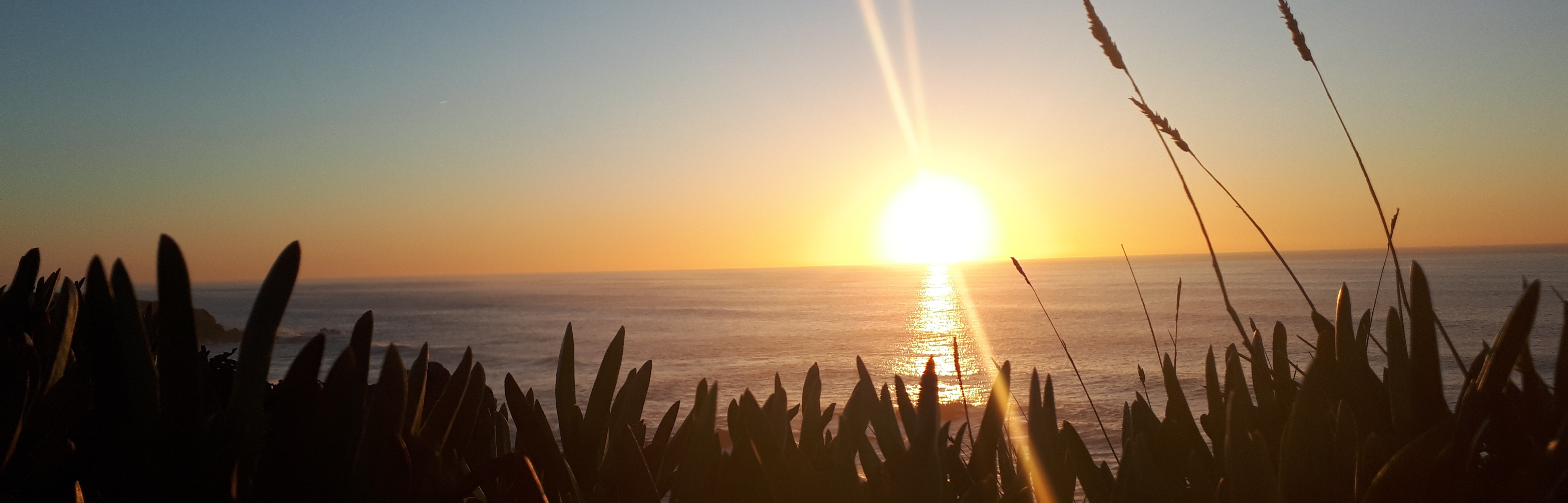 sunset The Firefly with a Travelbug